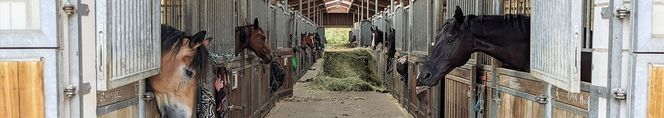 Reitanlage Nagel Medingen Reitanlage Nagel Medingen