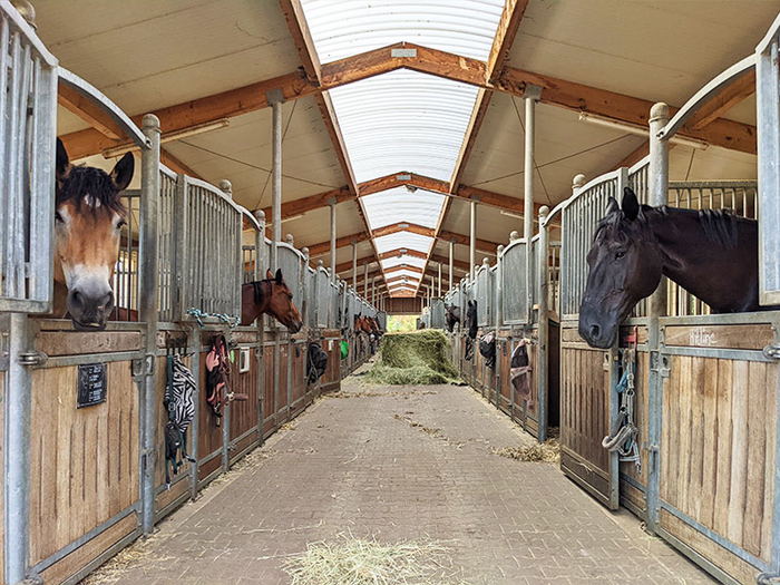 Reitanlage Nagel Medingen Pferdepension Reitanlage Nagel Medingen Pferdepension…
