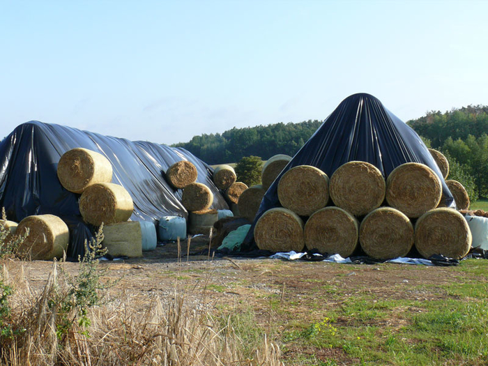 Reitanlage Nagel Medingen Pferdepension Reitanlage Nagel Medingen Pferdepension…