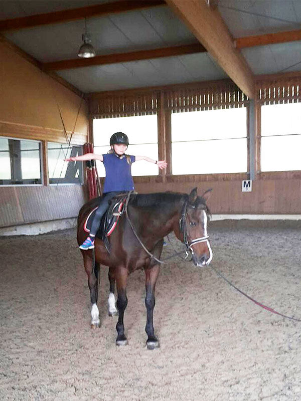 Reitanlage Nagel Medingen Reitunterricht Reitanlage Nagel Medingen Reitunterricht…